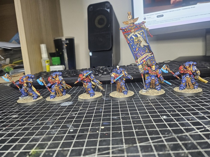 Виктрикс гварды