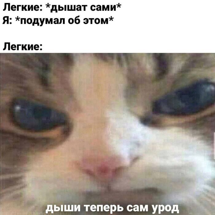 Почему так?