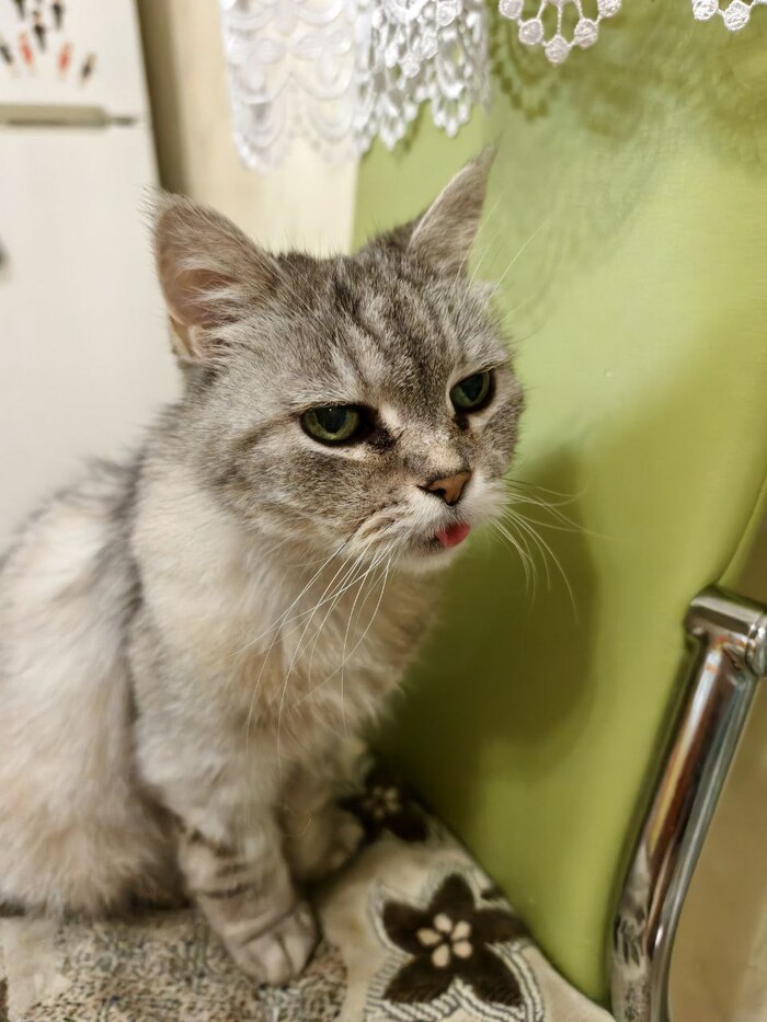    &quot;,   ,   &quot;