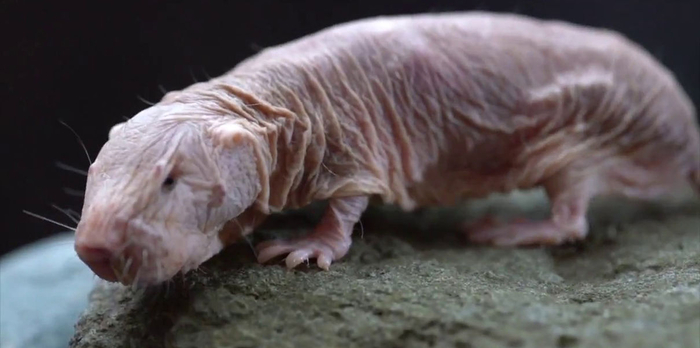  . , , ,     . :      !