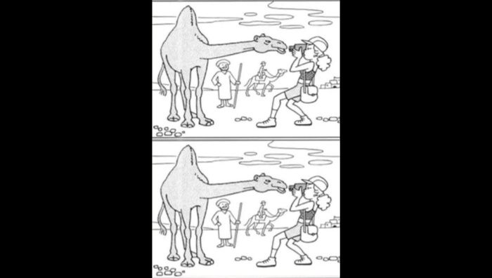 Только 5% людей смогут найти на этих картинках 10 отличий