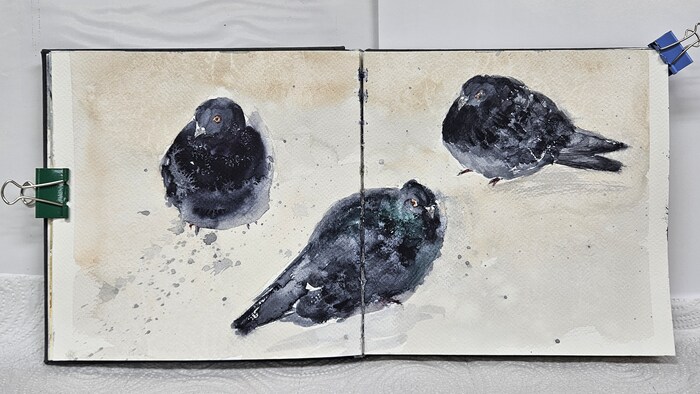 <!--noindex--><a href="https://pikabu.ru/story/golubi_v_moem_sketchbuke_13478648?u=https%3A%2F%2Ft.me%2Fksupolzikova_art&t=https%3A%2F%2Ft.me%2Fksupolzikova_art&h=eb72c6a65f7ccc0351e2b5d93926716e9fc2137f" title="https://t.me/ksupolzikova_art" target="_blank" rel="nofollow noopener">https://t.me/ksupolzikova_art</a><!--/noindex--> 