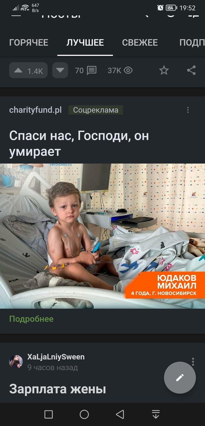 Стыдно за страну