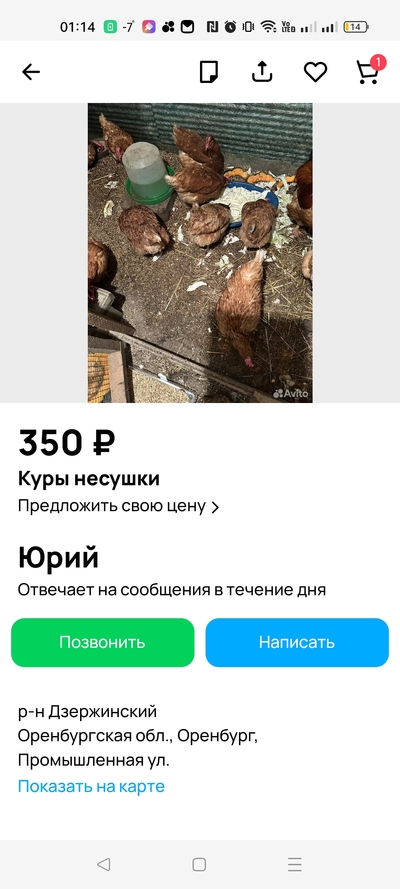 Иллюстрация к комментарию