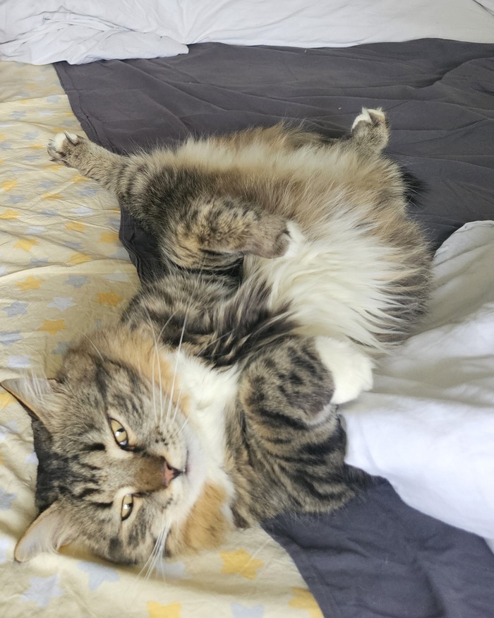 Фух, как же круто в кроватке!