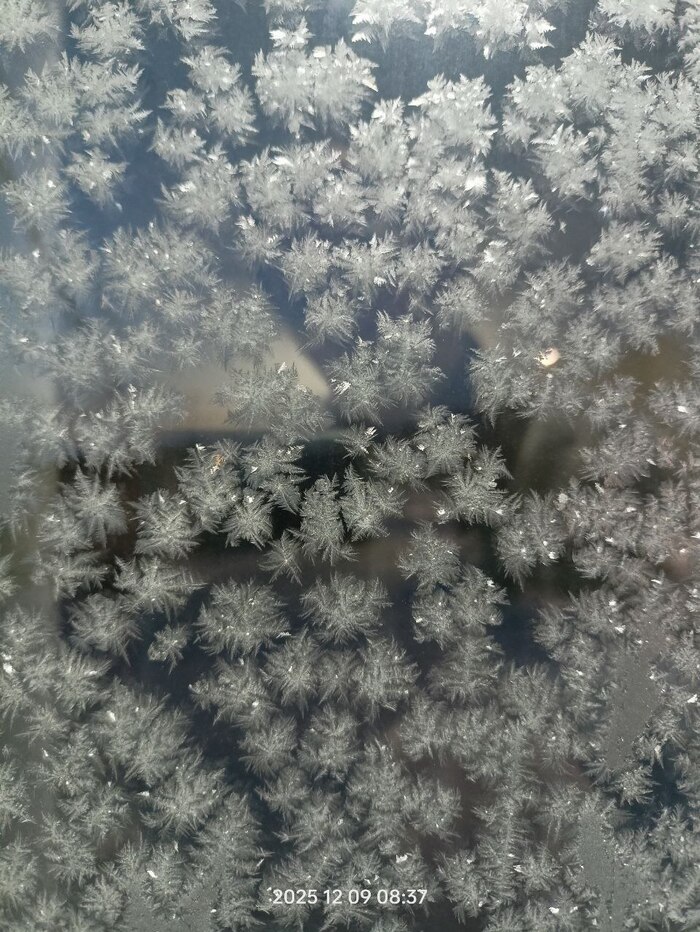 вид из окна