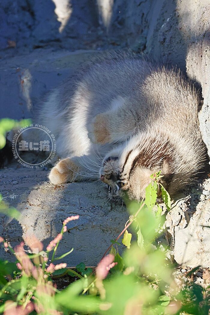 Не хочу вставать...