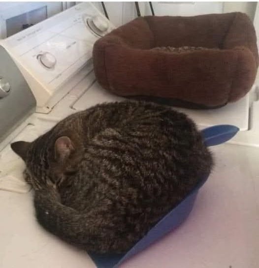 А в совке удобнее