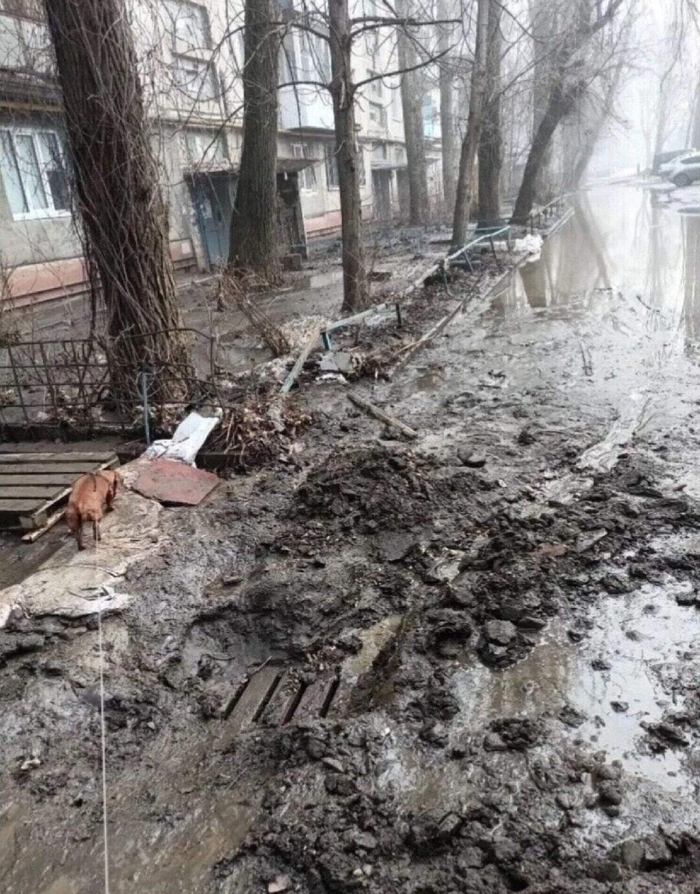 Посоветуйте стильный образ на эту зиму