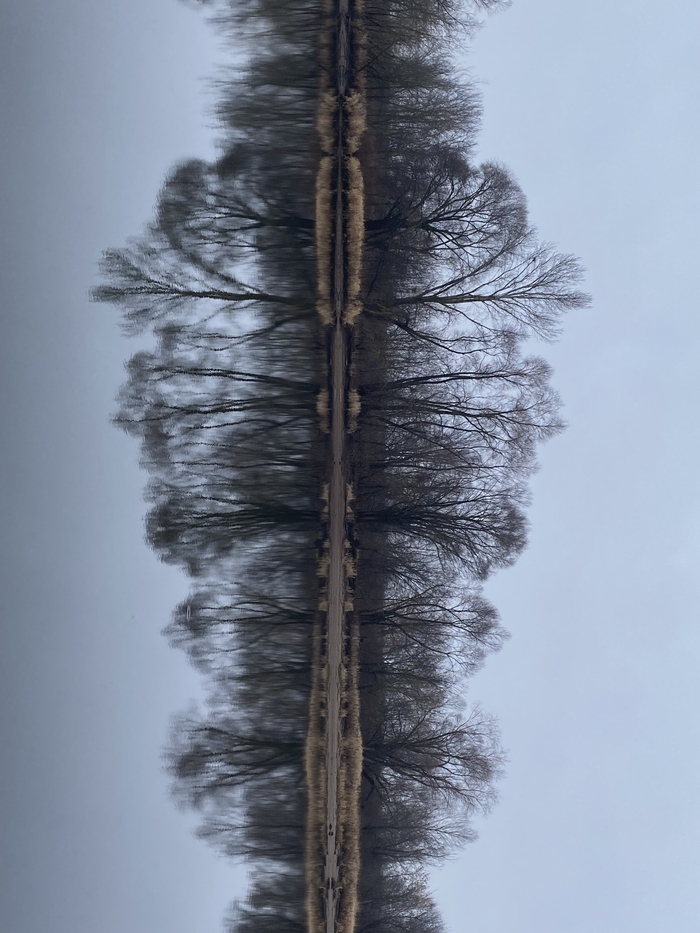 Параллельная