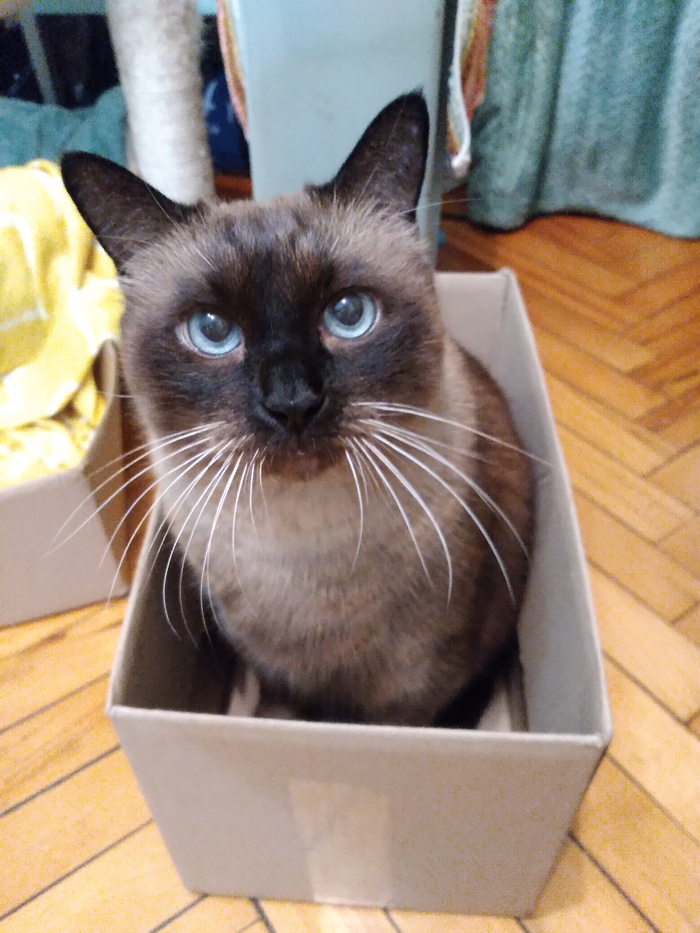 В новой коробке