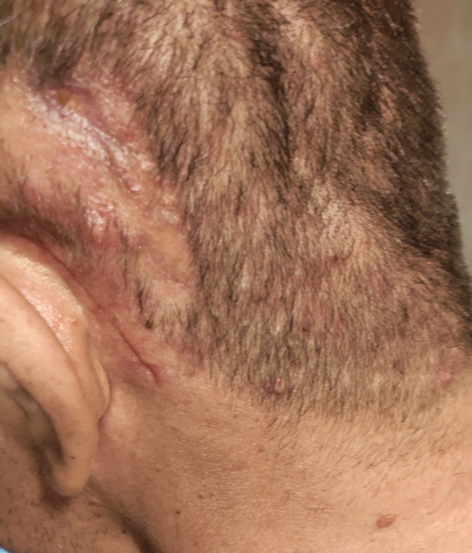 ���������� 15.02.2025 ����