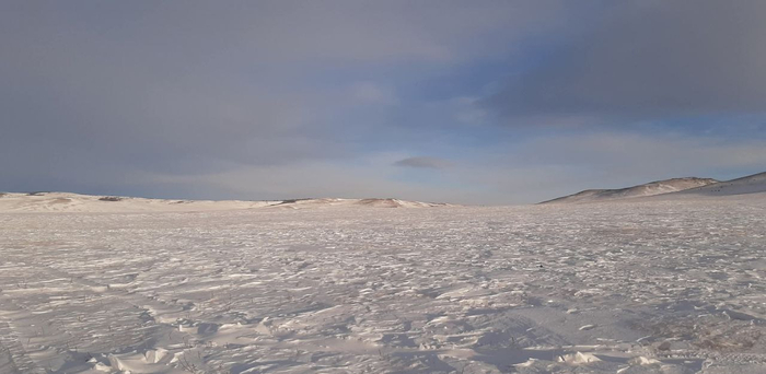 Монгольская степь