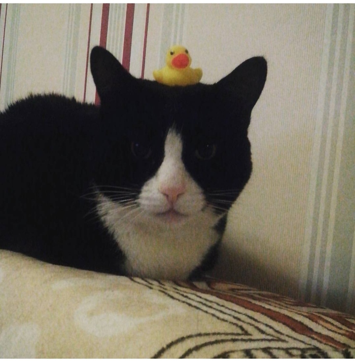 ��� � ������� �� ����������� ������