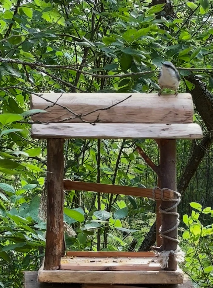 Высокопоставленная персона оценивает положение дел: вокруг чисто, внутри почти пусто
