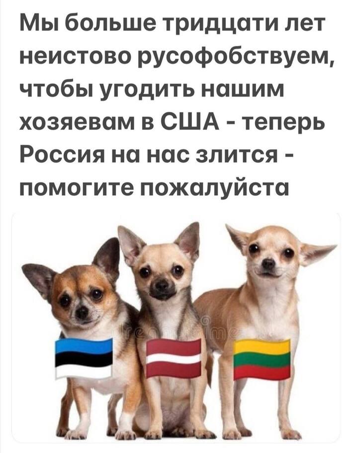 Ответ на пост «Латвию стократ наказали за украденное имущество России»