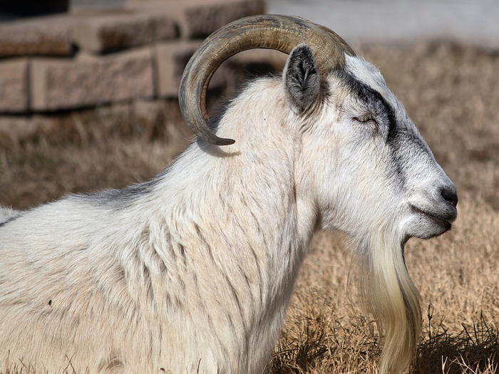 :     .       ,       !      : ,   .