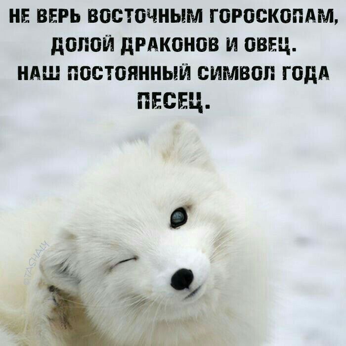 Ответ на пост «Год огненного коня»