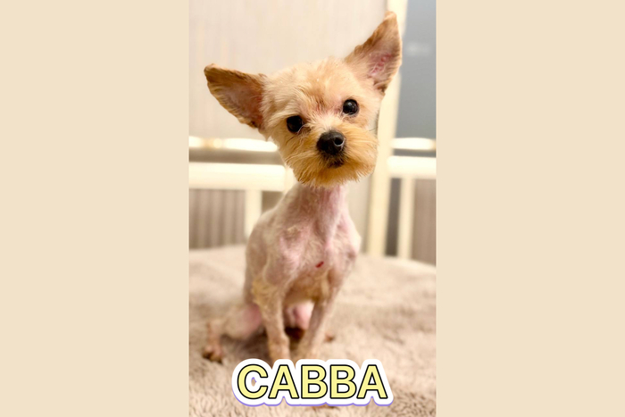   #_&nbsp; 2 , 2,3 .  , .