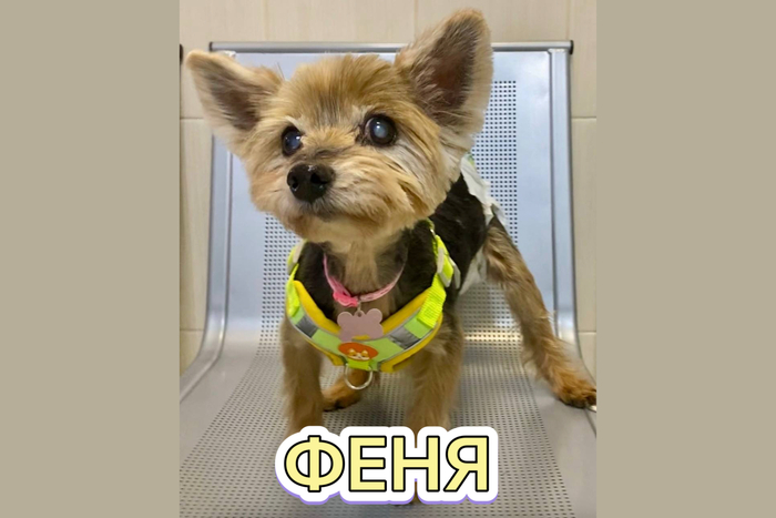  #_ 8+ , 4 .       . ,   ,   .