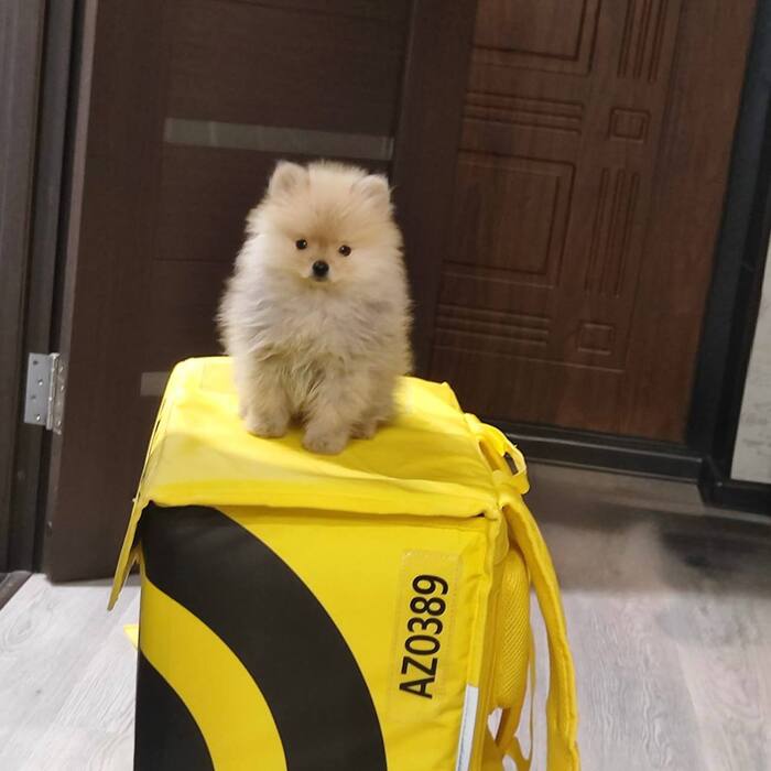 Тут ему 2,5 месяца