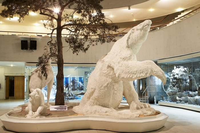 Мегатерий. К.К. Флеров. Скульптура в экспозиции Дарвиновского музея.