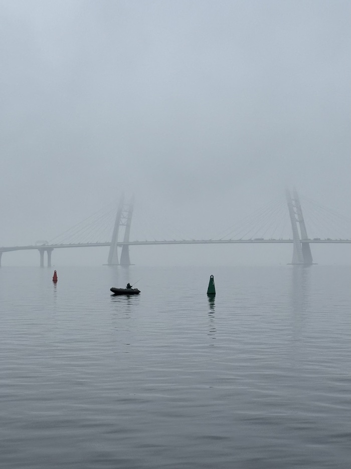 Питер, Севкабельпорт ноябрь 2025