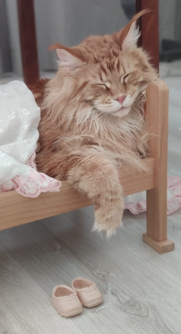 Комфортновое