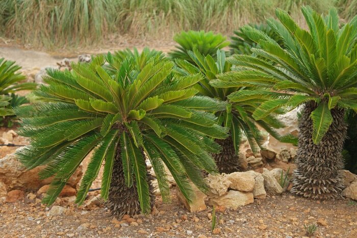  .    <!--noindex--><a href="https://pikabu.ru/story/nakhodka_na_kie_13485483?u=http%3A%2F%2Fdzen.ru&t=dzen.ru&h=4df646f52a546fe378290929d40cca90ccf2902a" title="http://dzen.ru" target="_blank" rel="nofollow noopener">dzen.ru</a><!--/noindex-->.