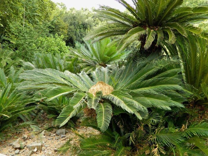  .    <!--noindex--><a href="https://pikabu.ru/story/nakhodka_na_kie_13485483?u=http%3A%2F%2Fdzen.ru&t=dzen.ru&h=4df646f52a546fe378290929d40cca90ccf2902a" title="http://dzen.ru" target="_blank" rel="nofollow noopener">dzen.ru</a><!--/noindex-->.