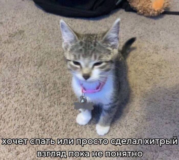 Пока не понятно