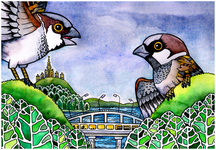 Воробьёвы Горы