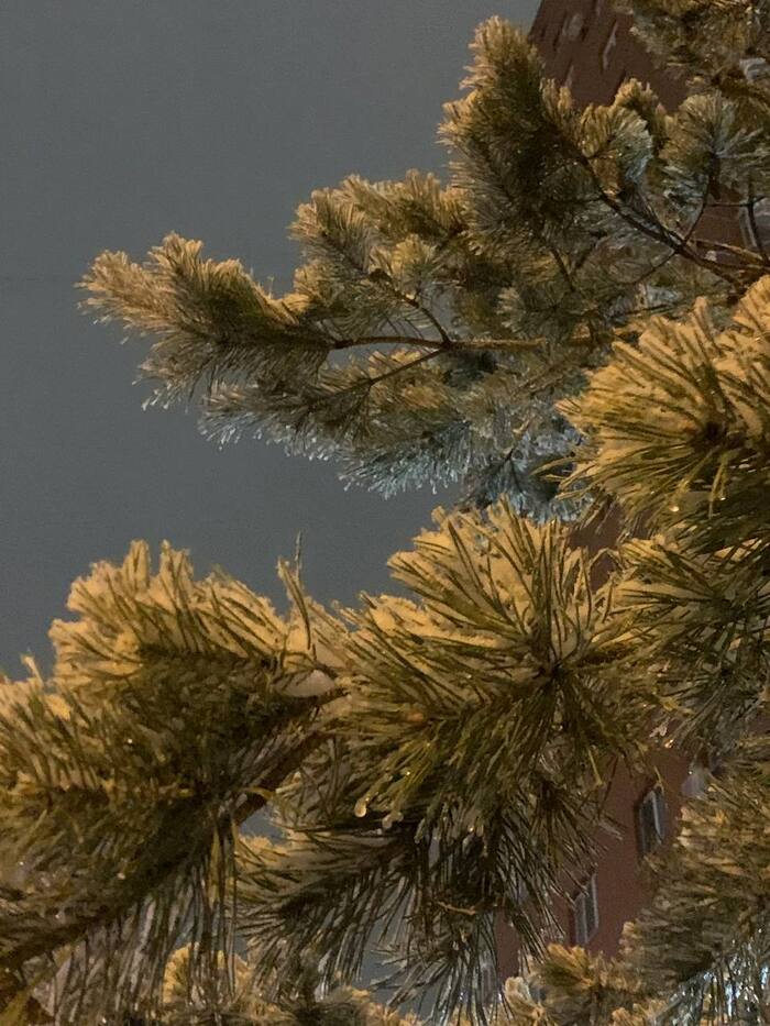 166 дней Есенина #81