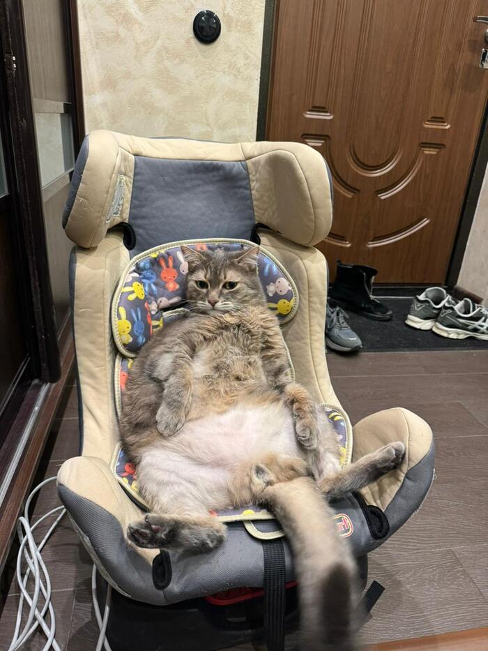 Когда устал уставать