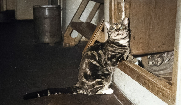 Фотограф: Юрий Садовников