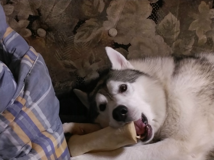 Обрел дом после долгих скитаний