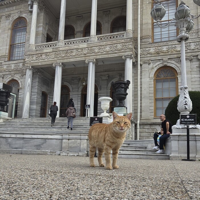 Зачем пришли? Вам здесь не рады. Давайте ваших рыбов и уходите обратно.
