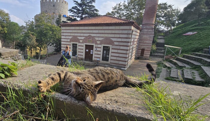 Вот так хорошо!