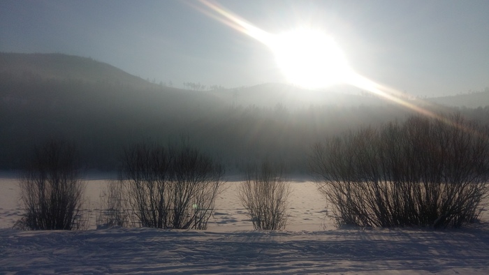  ChiefDimanikus      2024 