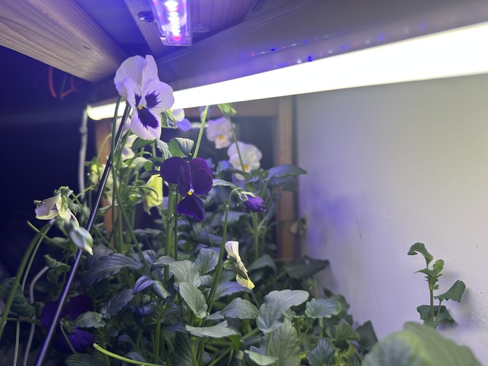 Теперь не знаю что с этим делать🤣