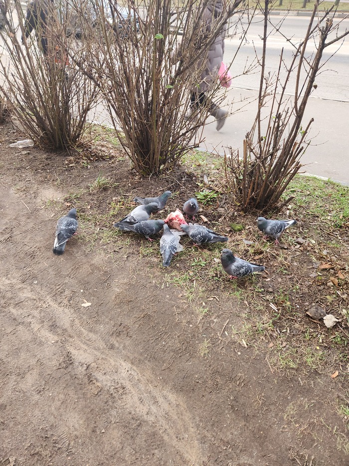 Знаете, в нашем мире что-то меняется... да так, что реально страшно становится...