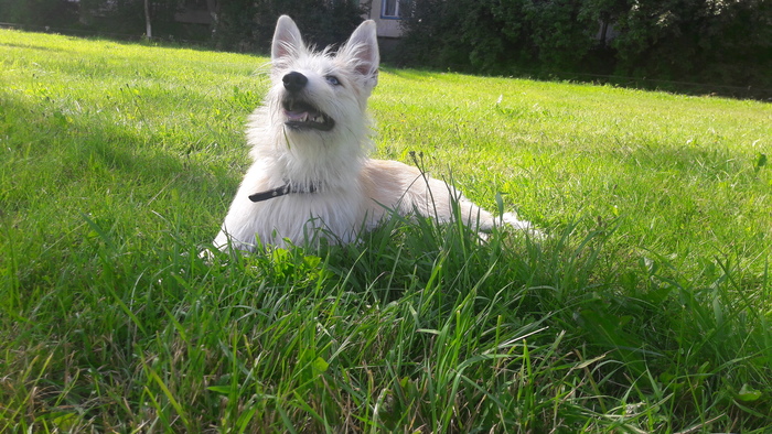 Спасибо за поддержание психического здоровья в пандемию!