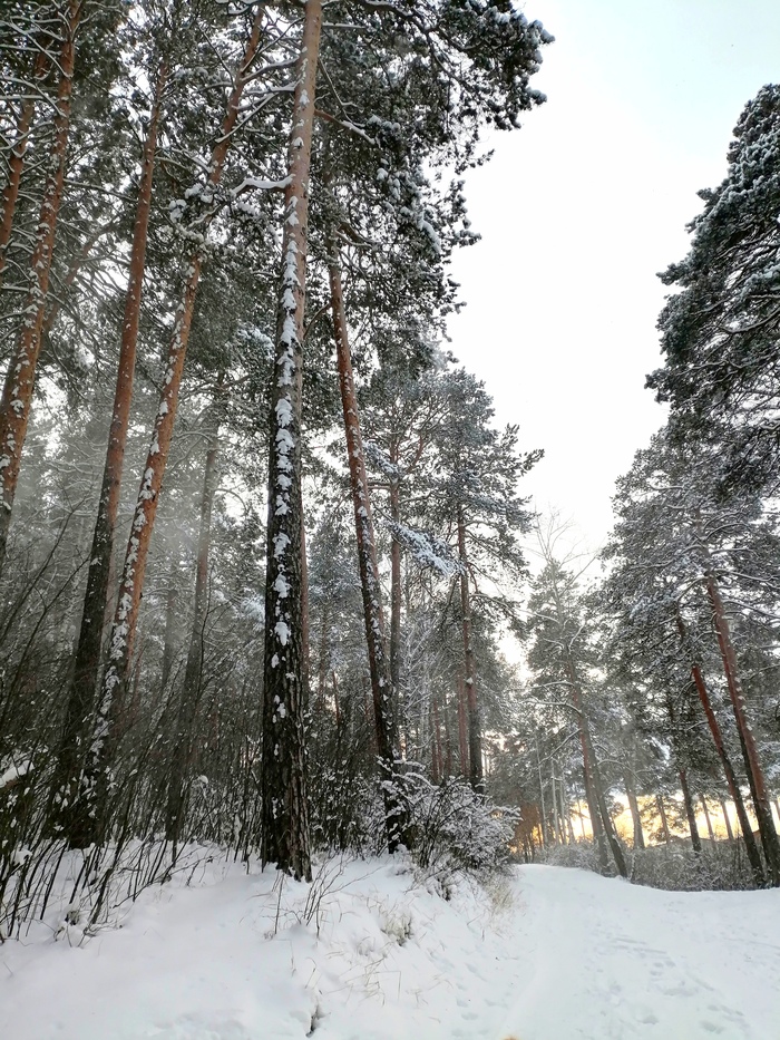 Пришла наконец-то зима!