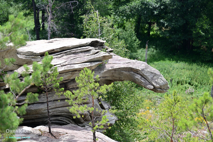Скала Черепаха