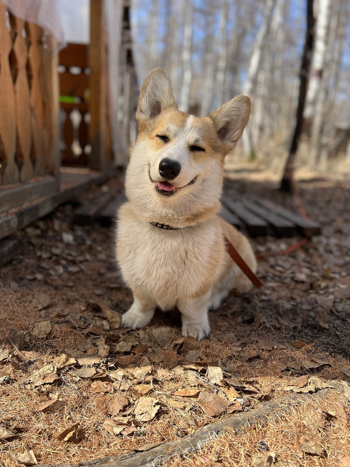 Мы очень надеемся, что он живет свою лучшую самую счастливую жизнь!