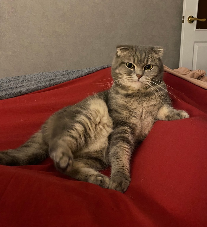 Попросила не вылизываться так громко