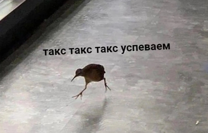 Как пережить декабрь и не сойти с ума