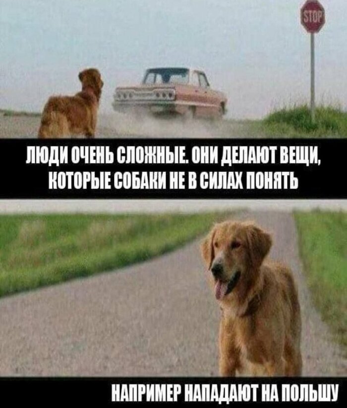 Не могут понять