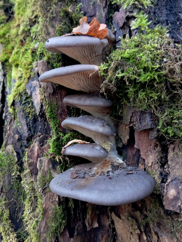 Фото С. Кривошеева.