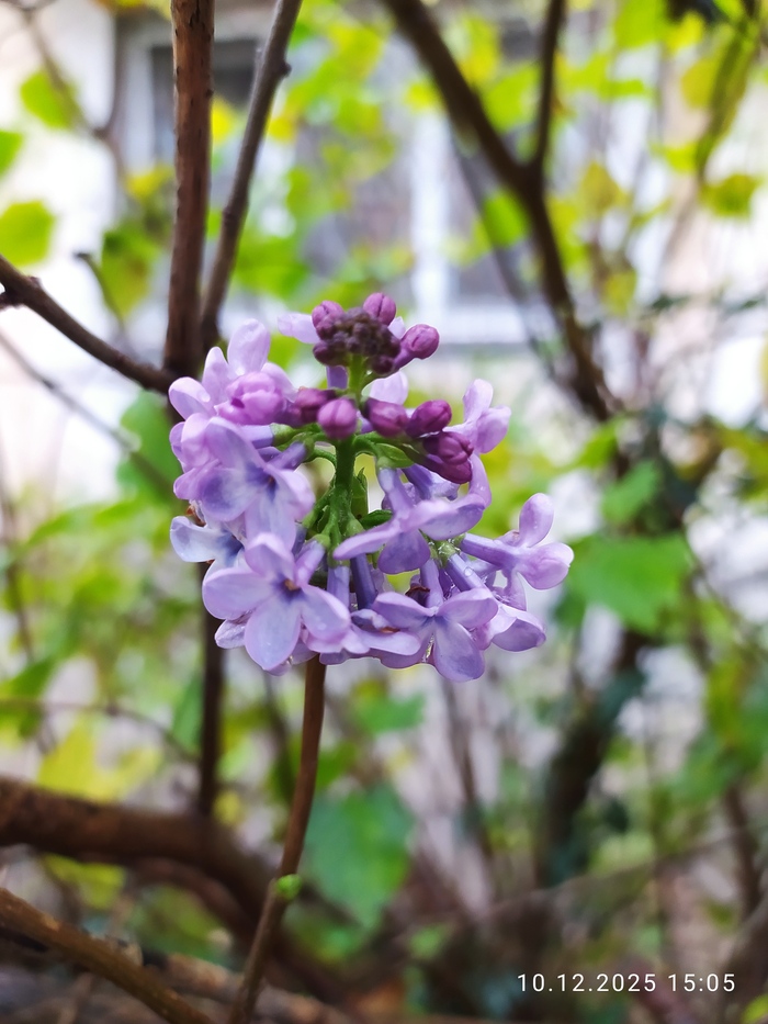 О погоде в Крыму...